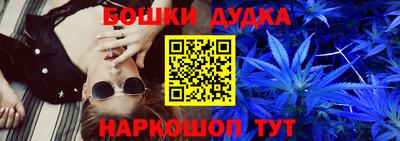 гидра Краснознаменск