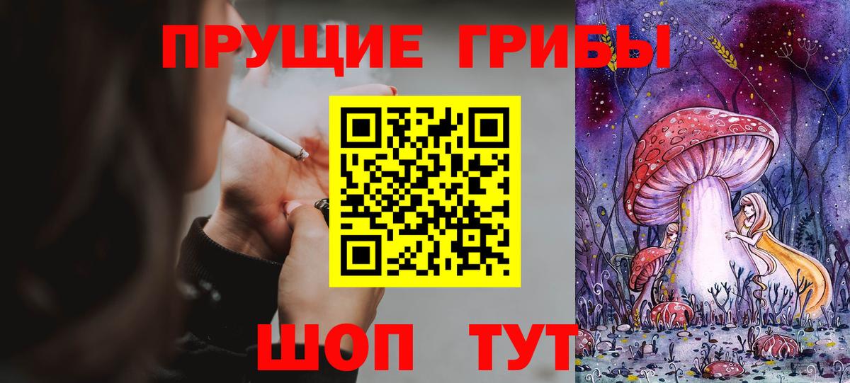Галлюциногенные грибы Psilocybe  Псилоцибиновые грибы MAGIC MUSHROOMS  Вход с VPN  Гусиноозёрск 