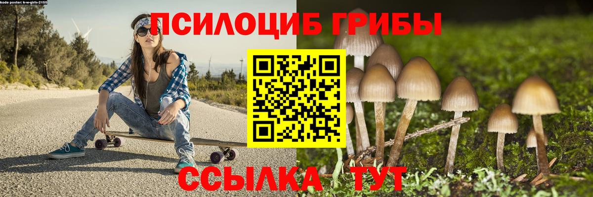 Псилоцибиновые грибы Psilocybe Гусиноозёрск